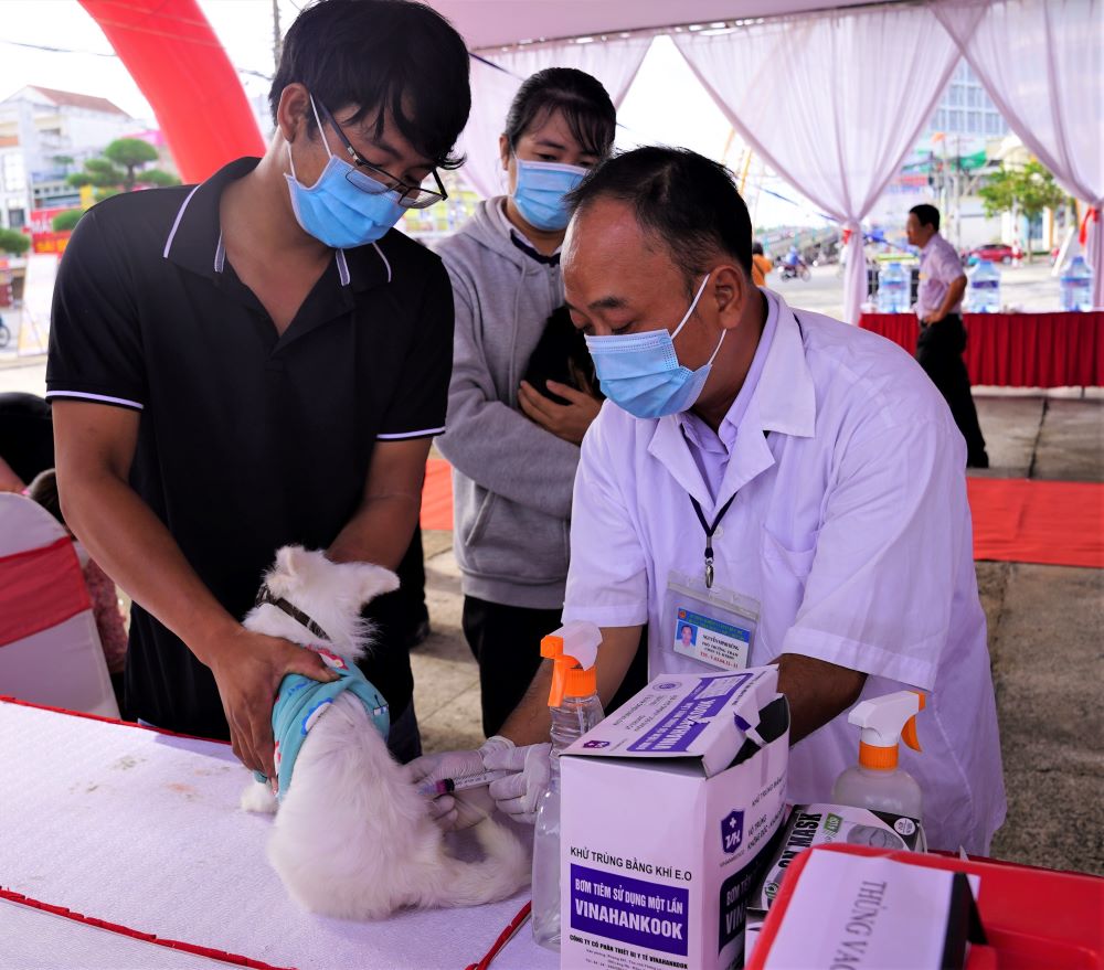 Vietnam reports 70-100 human deaths from rabies each year