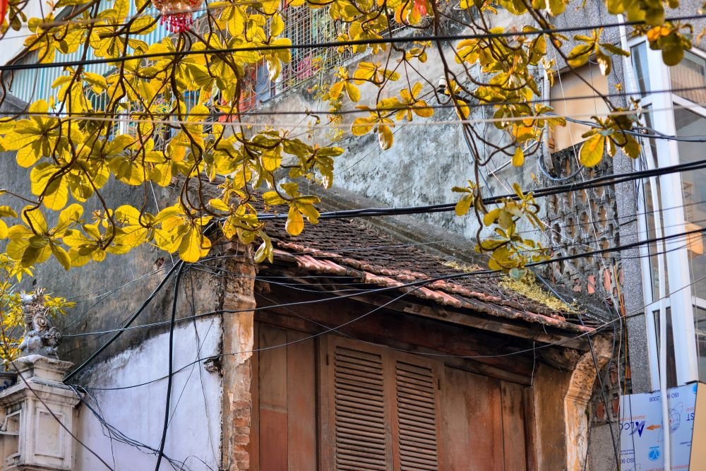 Hanoi autumn captivates people  