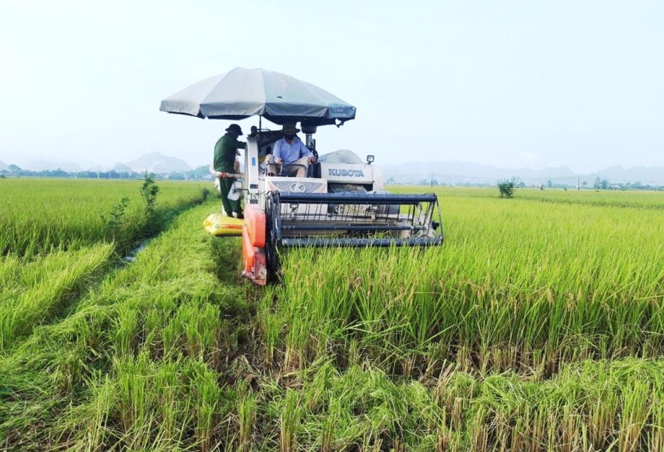 Sciences, technologies key to boost Hanoi's agriculture: Officials