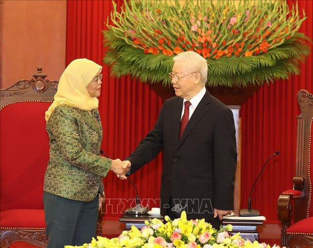 Vietnam gives priority to strategic partnership with Singapore