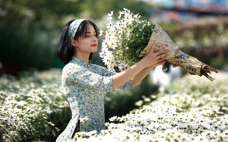 Ox-eye daisy garden in Hanoi attract hordes of young people