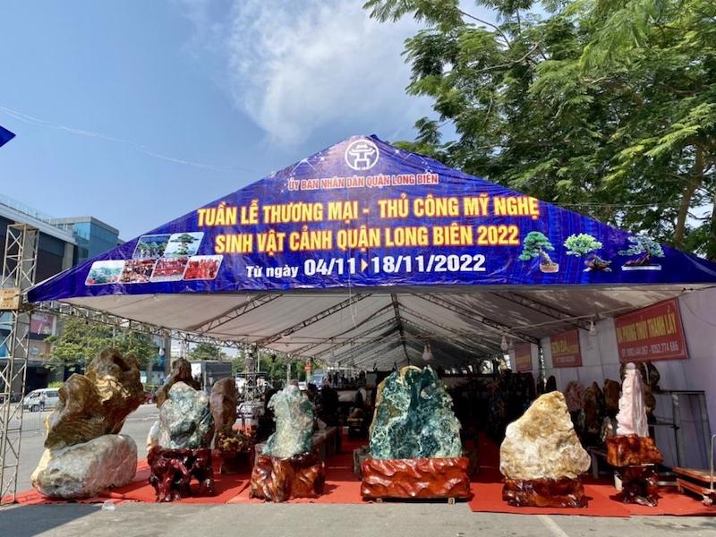 Hanoi displays handicrafts, ornamental plants 