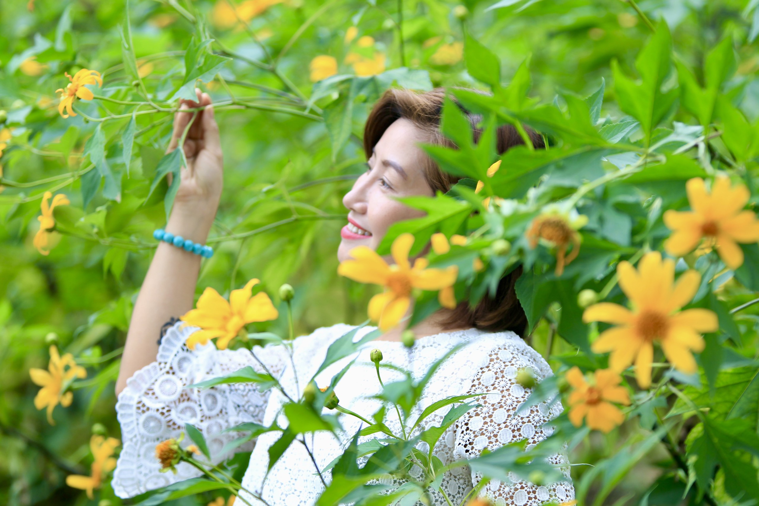 Young people eagerly enjoy marvelous tithonia diversifolia in Hanoi