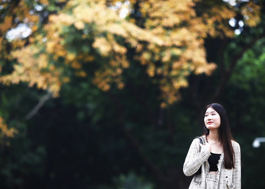 Dreamy beauty of Hanoi in leaf-changing season 