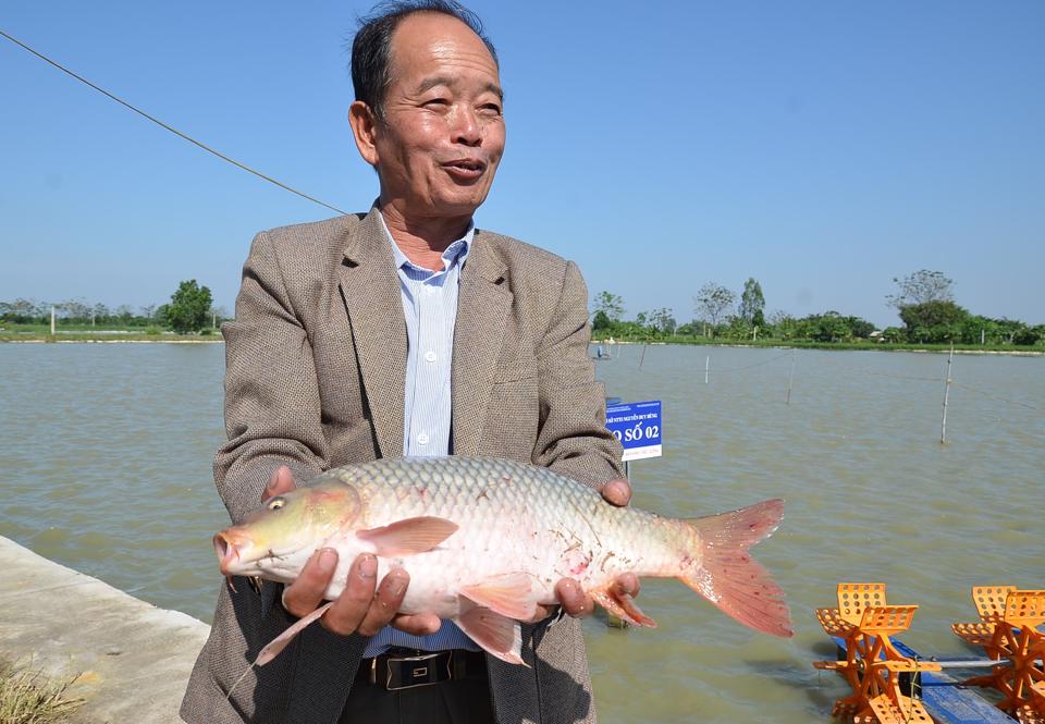 Hanoi promotes high-quality organic farming models