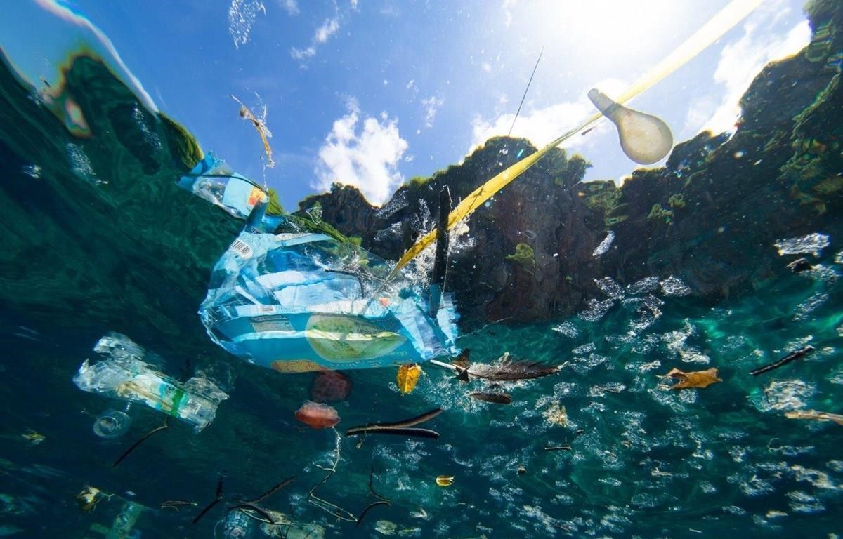 UNESCO Vietnam awards Youth Innovative Ideas for an Ocean without Plastic