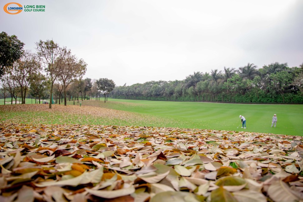  Hanoi boosts golf tourism to attract more international visitors