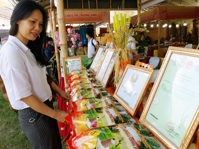 Hanoi Agricultural Products Festival 2023 underway  