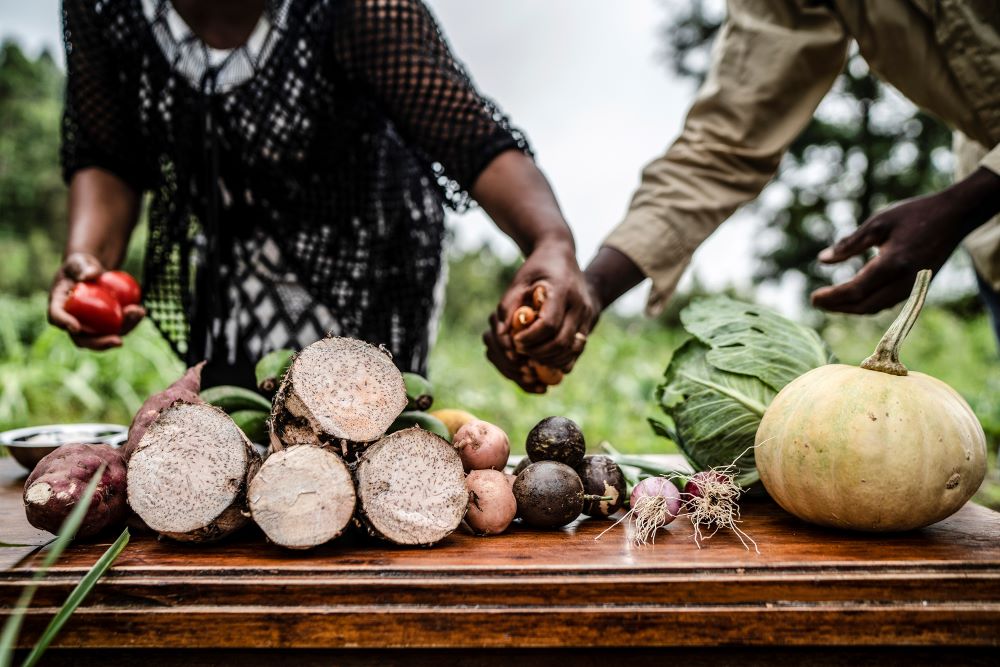 Dynamic food systems transformation is underway to meet the challenges of a rapidly changing world