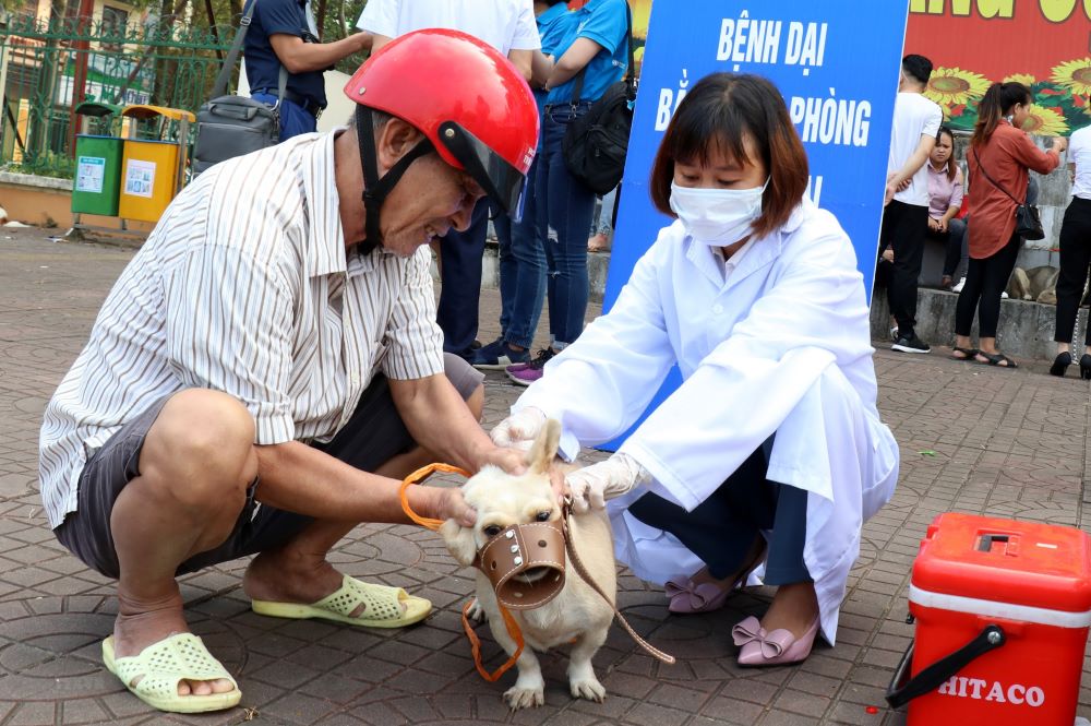 Vietnam urged to manage dog populations to end rabies-caused human deaths 