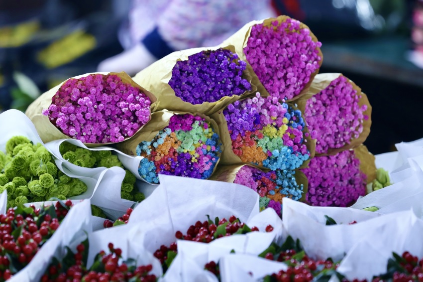 Brillant flower at Quang Ba Flower Market for Vietnamese Women’s Day