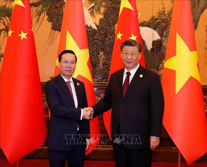 China supports strong and prosperous Vietnam: Xi Jinping