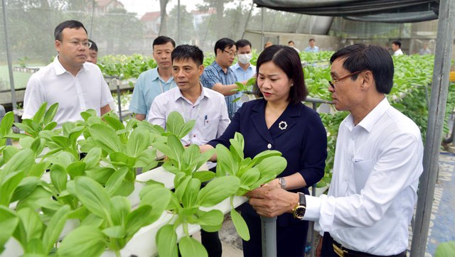 High-tech agricultural farm launched in central Hanoi