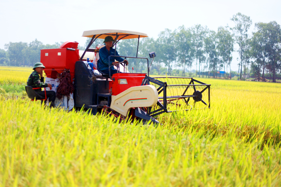 IFAD support transforms farmers’ lives in Vietnam 