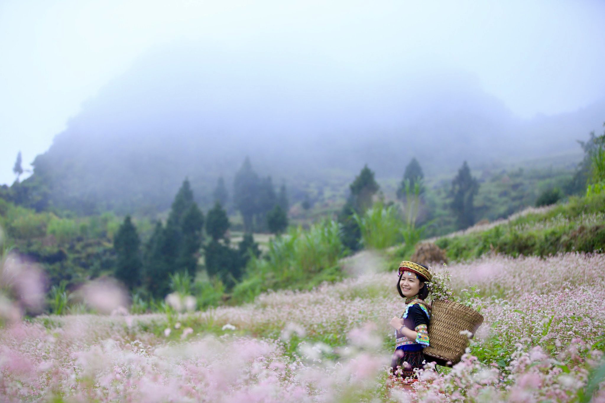 Buckwheat flowers attract visitors to Ha Giang