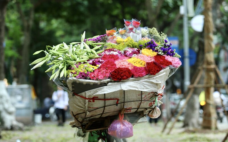 Along with Spring, flowers are at their best in Hanoi's fall season.