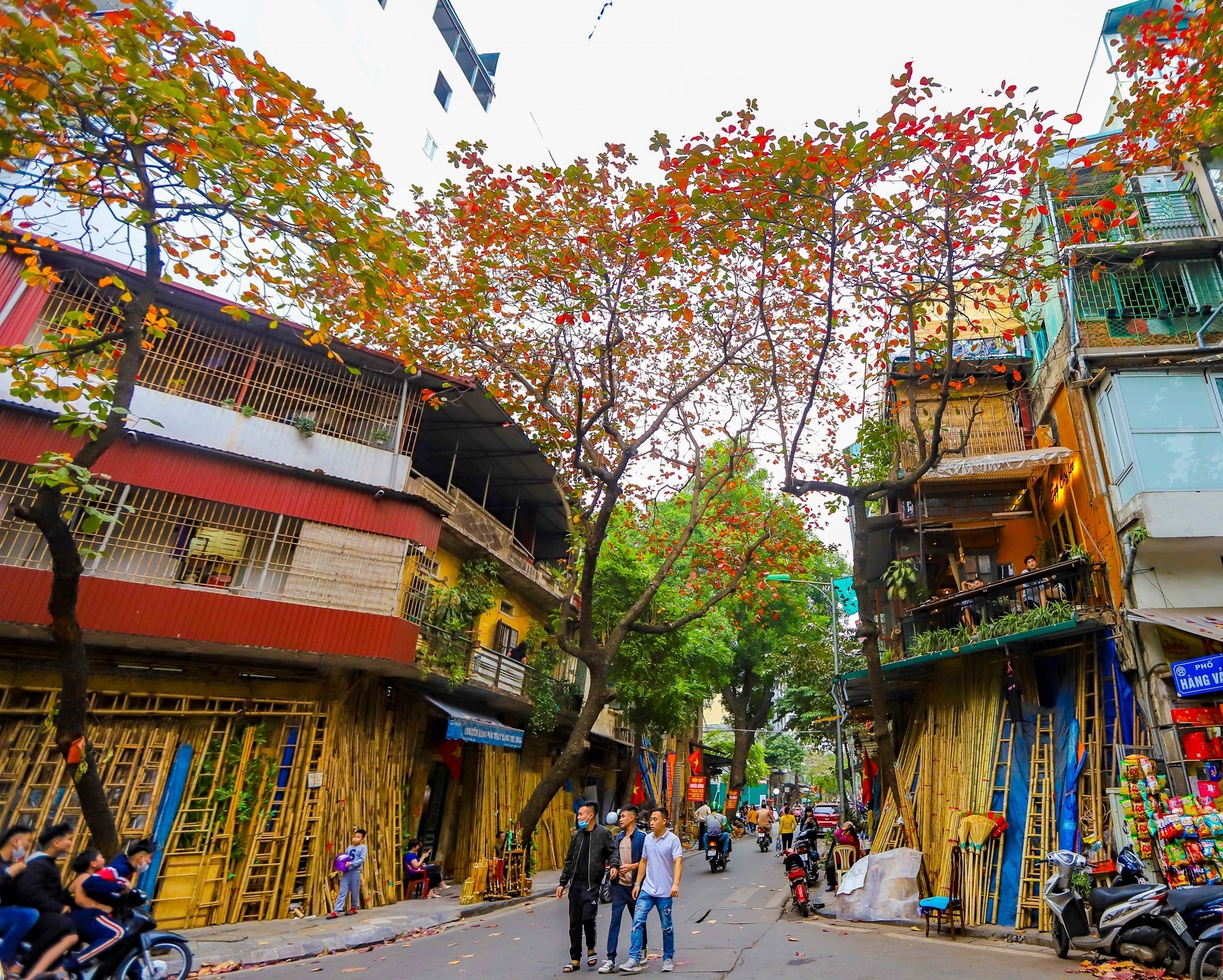 Hanoi in almond tree leaves change