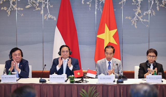 Vietnam - Indonesia expand cooperation to include green growth, EV ecosystem