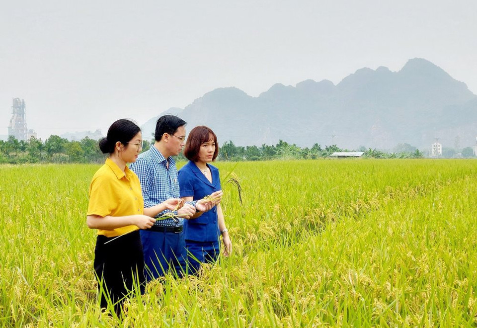 Hanoi boosts agricultural exports