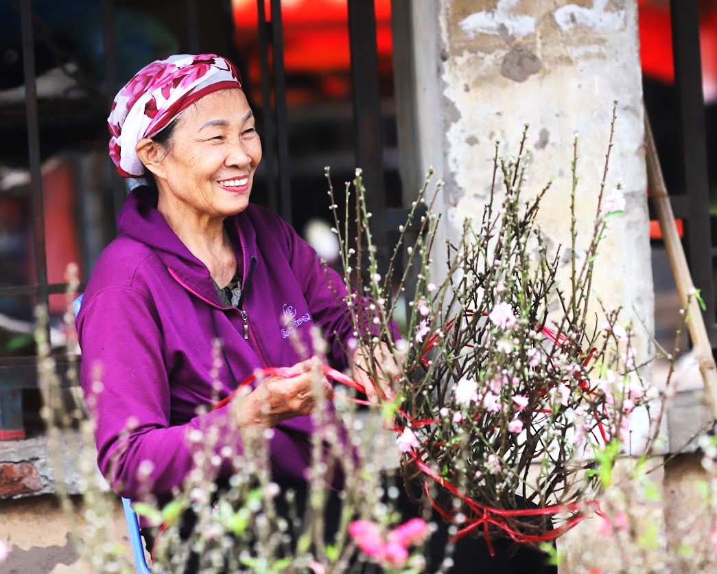 Nhat Tan apricot blossom shows off its Tet colors