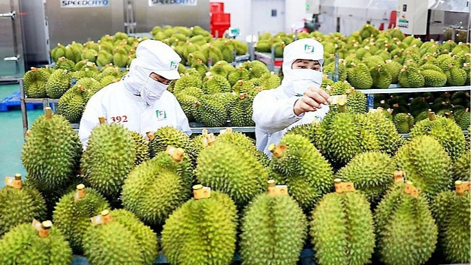 Vietnam’s fruit and vegetable exports experience exponential surge in Jan