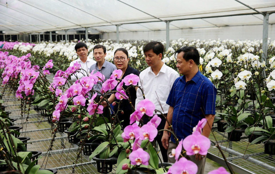 Bringing smart farming closer to Hanoi farmers