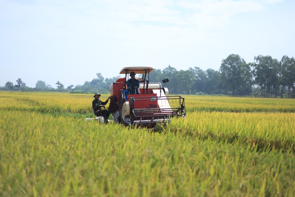 Vietnam earns US$1.4 billion from rice exports in Q1