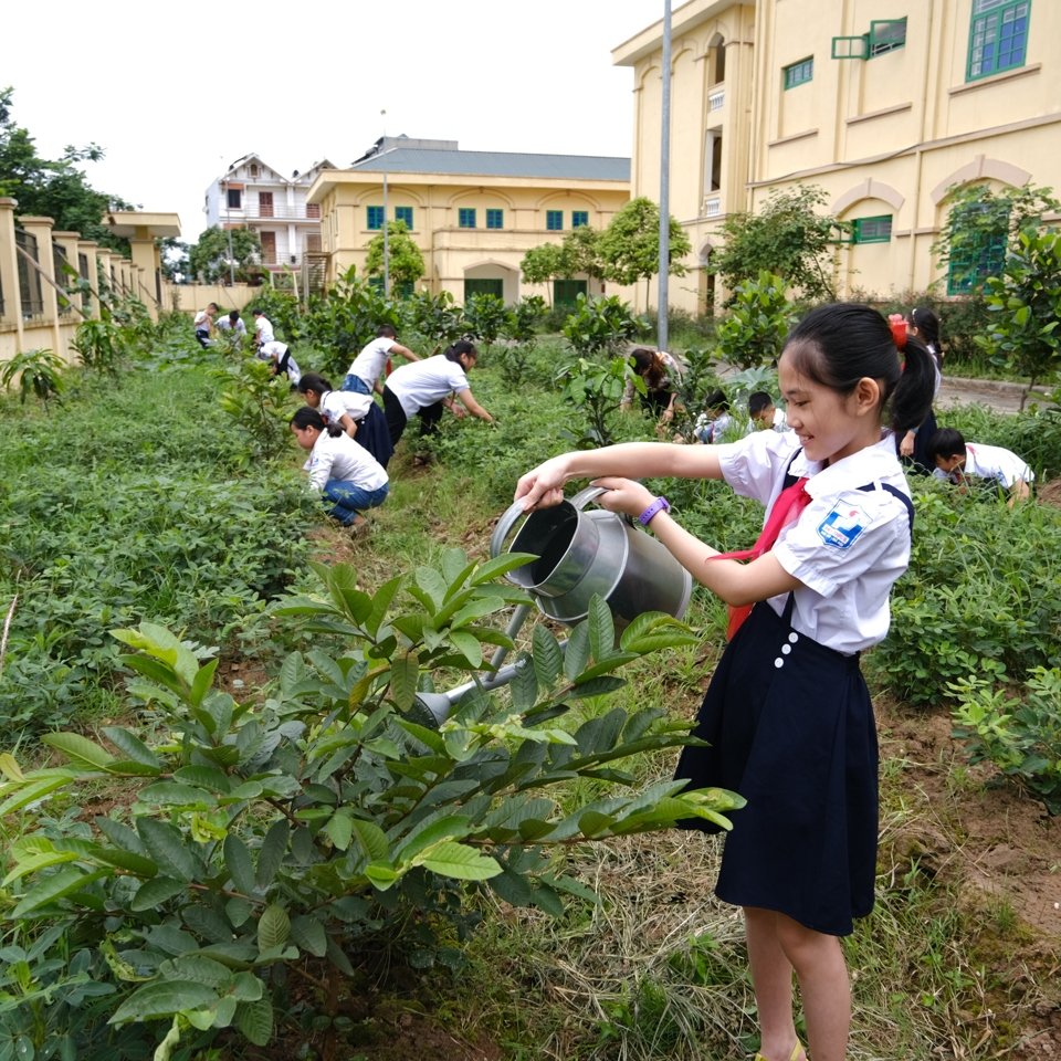 Hanoi takes drastic action against environmental violations