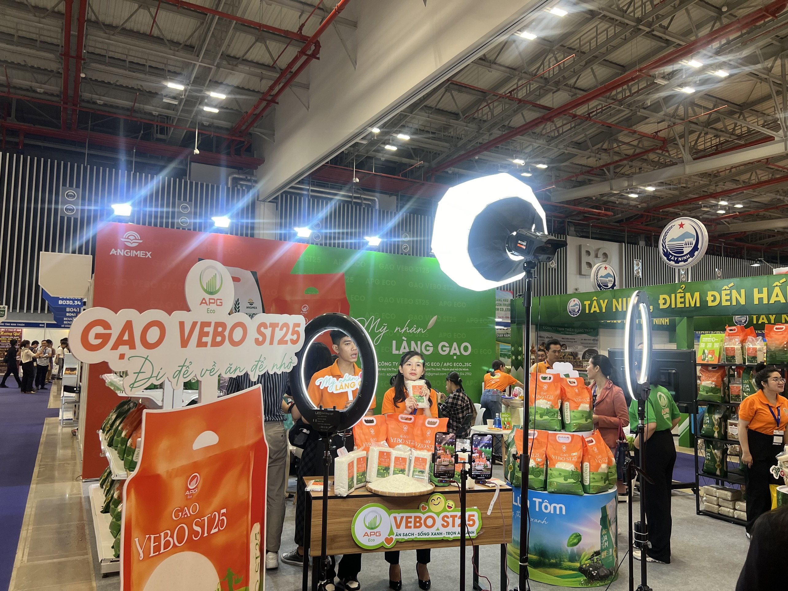 Vietnam Export Fair 2024: Opportunities to boost exports