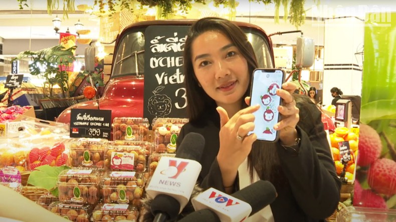 "Best lychees from Vietnam” campaign launched in Thailand