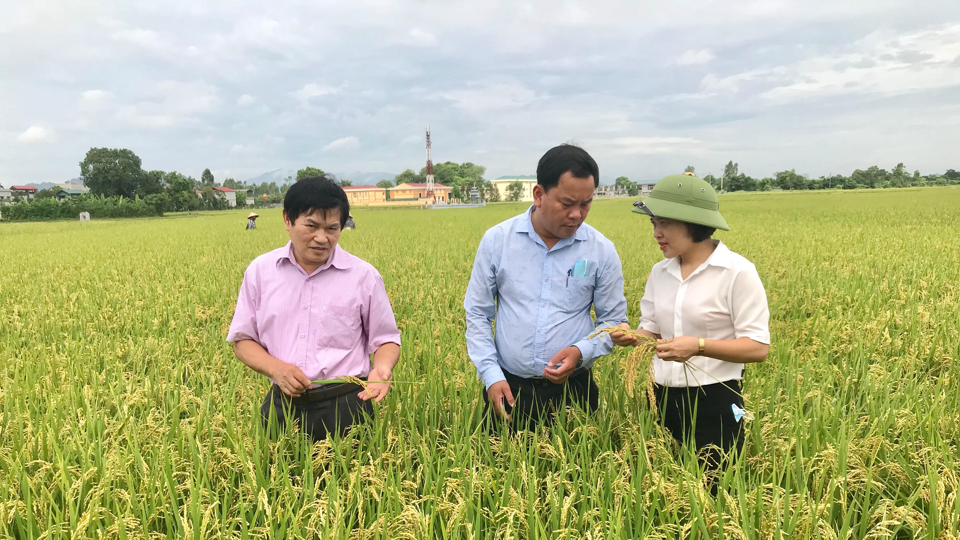  Hanoi expands supply chain model of agricultural product