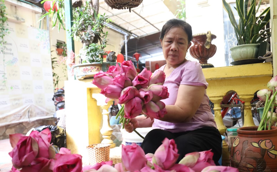 Hanoi Lotus Festival cultural activities ready