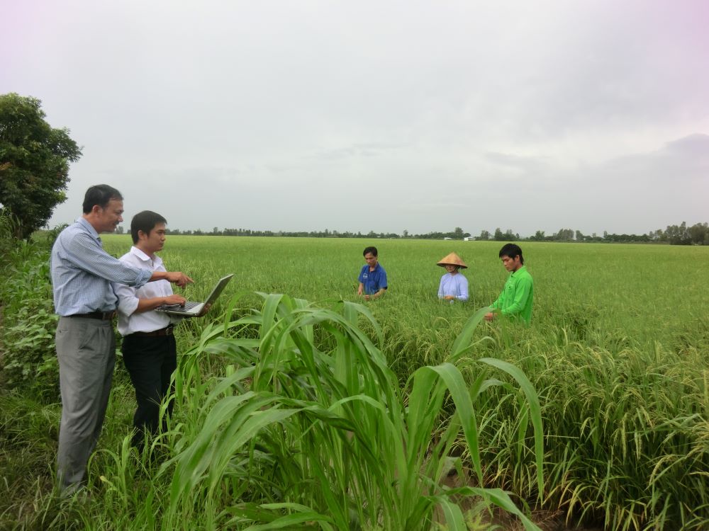 Australia’s support helps Vietnam promote sustainable agriculture  