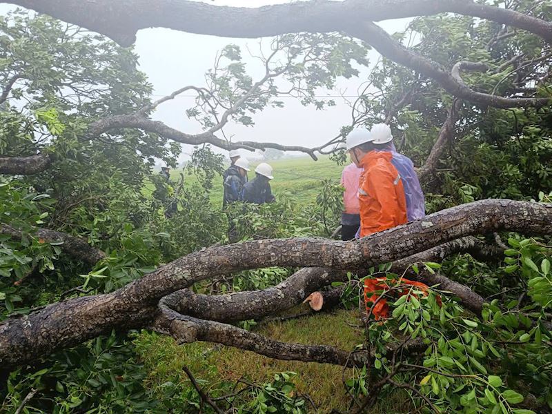 EVNHANOI to maintain power supply during super typhoon 