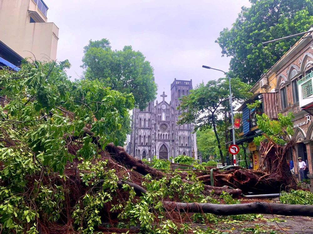 Hanoi mayor urges post-storm recovery efforts 