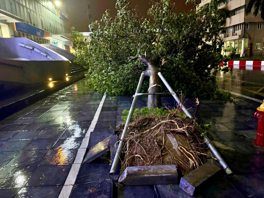 Hanoi aims to clear fallen trees by September 12