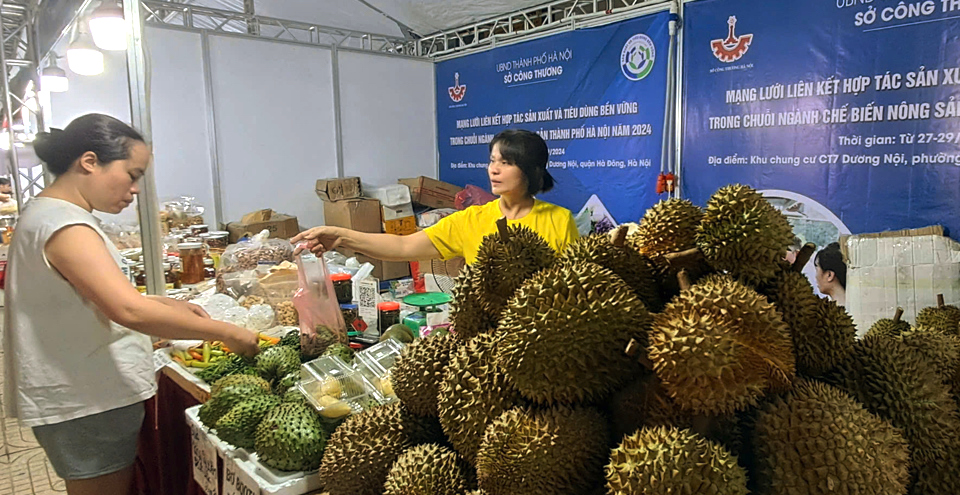 Connecting agricultural production and consumption networks in Hanoi 