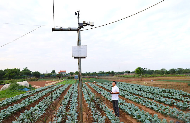 Hanoi's digital transformation: boosting agriculture efficiency