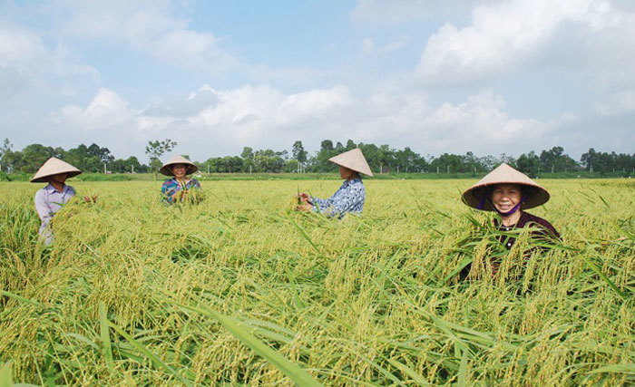 Hanoi urges businesses to expand distribution network