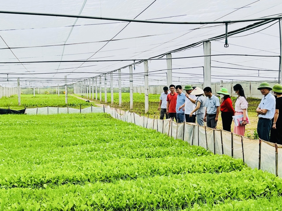 Vietnam prioritizes agriculture and renewable energy for access to green loans  