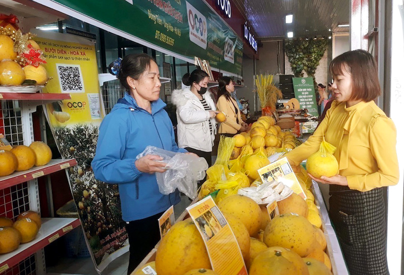 Hanoi's foreign trade turnover hits US$60.1bn in 2024