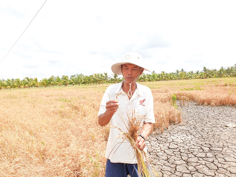 Prime Minister urges actions as salinization begins in Mekong Delta 