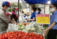 Initiatives to boost sales of Vietnamese agricultural products  
