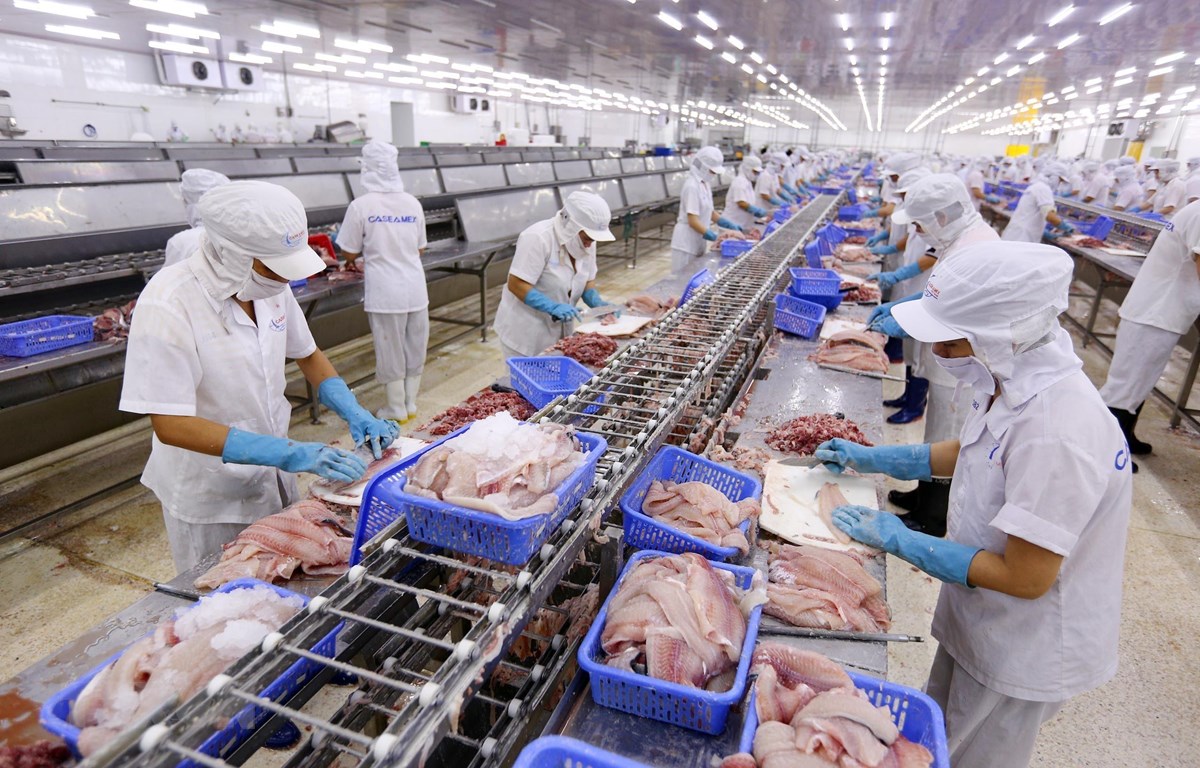 Vietnam seafood perfectly well placed to benefit from EVFTA