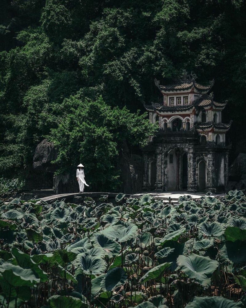 Vietnam’s beauty revealed through lens of Japanese photographer