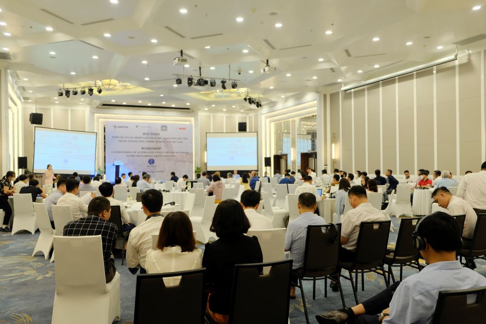 Co-processing in cement industry: Norway expertise for Vietnam net-zero ...