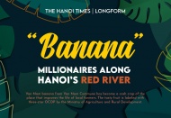 “Banana” millionaires along Hanoi’s Red River 