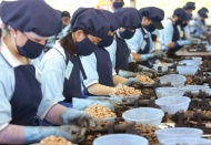 Vietnamese cashew exporters fall victims to international scammers   