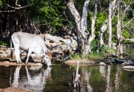 2022 Heritage Photographic Contest: “Ninh Thuan - The Land of the Heritage” opens calls