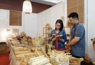 Hanoi strengthens sustainable production and green consumption